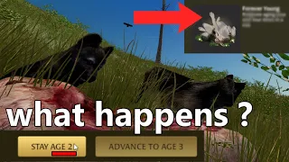 What happens if you stay age 2 forever in WolfQuest ?