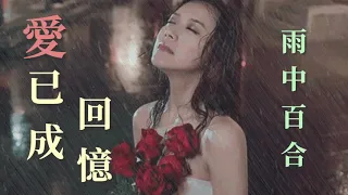 Selamat malam teman-teman semua (愛已成回憶) (演唱：雨中百合) (Ài yǐ chéng huíyì) (yǎnchàng: Yǔzhōng bǎihé)