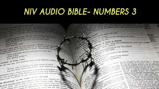 NUMBERS 3 NIV AUDIO BIBLE (with text)