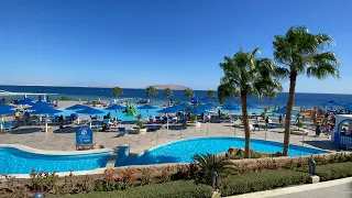 ‼️НАМ МОРЯ НЕ НУЖНО - БАССЕЙНЫ ДАВАЙ‼️😁🇪🇬отель ALBATROS PALACE ШАРМ-ЭЛЬ-ШЕЙХ