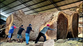 Sultan America breaks record!! Dutch heritage trembesi wood on a plank saw at I Sawmill