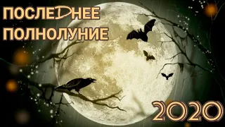 ПОСЛЕДНЕЕ ПОЛНОЛУНИЕ в 2020. Чего НЕ СТОИТ делать