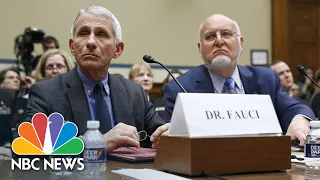 Dr. Fauci, CDC director Testify At House Hearing About Coronavirus Test Kits | NBC News