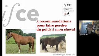 5 recommandations  faire perdre du poids à mon cheval - P. Doligez