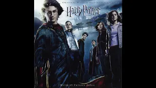 Harry Potter And The Goblet Of Fire - Patrick Doyle - Harry In Winter