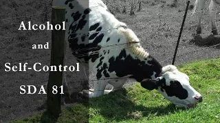 Alcohol and Self Control - Stop Drinking Alcohol 81