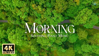 Beautiful Morning Footage 4K • Scenic Relaxation Film with Soothing Piano Music & Nature Video