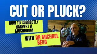 Dr. Michael Beug on "Cut or Pluck," How to Harvest a Mushroom Correctly