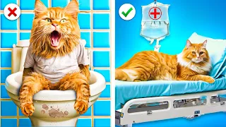 Rescate De Mascotas Extremo En Hospital! Gatita Da A Luz A 3 Gatitos por Kaboom Energy!