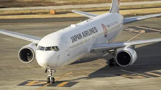 Beautiful JAPAN AIRLINES Boeing 767-300 LANDING in Tokyo Haneda Airport