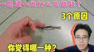 观赏鱼一眉道人为何会跳缸？3个原因，你觉得是哪一种？