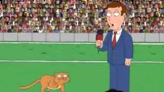 Family Guy, Special cat olympics
