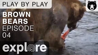 Brown Bear Play By Play - Ranger Mike Fitz - Katmai National Park - Episode 04