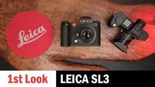 First Look: How Much Better is the Leica SL3 from the SL2?