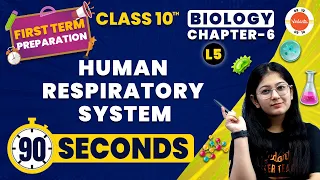 Human Respiratory System One Shot in 90 Seconds | Life Processes Class 10 | NCERT Class 10 Biology