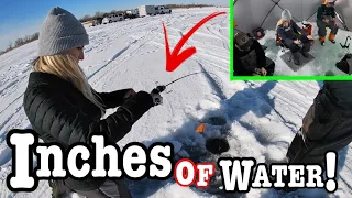 Fishing INCHES of WATER for BIG Fish w/ Big Baits!!! (Non-Stop-Action!!)