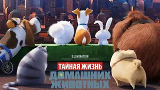 "Тайная жизнь домашних животных" (2016 года) - трейлер мультфильма.