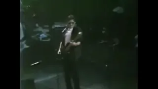 Roger Waters - Pigs (Three Different Ones) - Live 1987