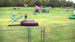 JRTCA Agility Nationals