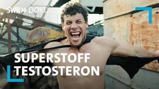 Mehr Kraft, mehr Lust, mehr Glück? Superstoff Testosteron | SWR Doku