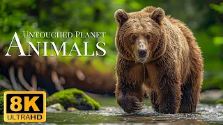 Untouched Planet Animals 8K ULTRA HD - Beautiful Scenery Relaxing Movie With Soft Music