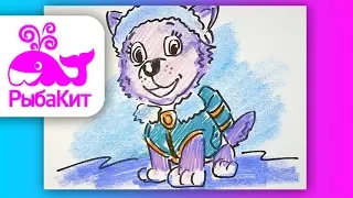 Как нарисовать Щенячий Патруль ЭВЕРИСТ / How to draw Puppy Patrol