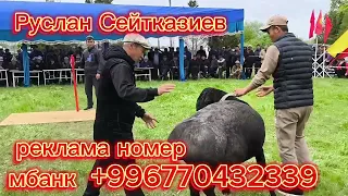 ВЫСТАВКА БАТКЕН СИЗДЕР КҮТКӨН ГИГАНТ КОЧКОРЛОР 4 БӨЛҮК