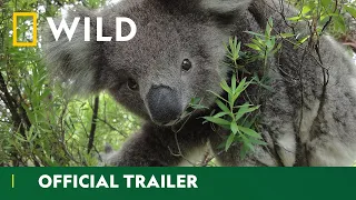 The Australian Outback | Wild Down Under - Official Trailer | National Geographic Wild UK
