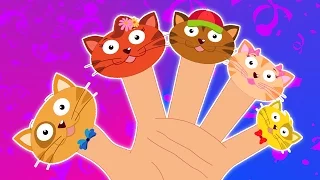 кошкапалецсемья | детипесни | потешки | Finger Family Rhyme | Kids Song Compilation