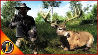 Hunting for Competition Trophies in theHunter Classic!