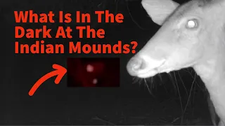 What Is In The Dark At The Indian Mounds? Bigfoot Sighting! Bigfoot With Lisa!