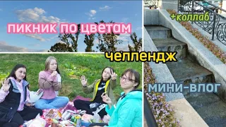 Челлендж! Пикник по цветам/Влог/Коллаб