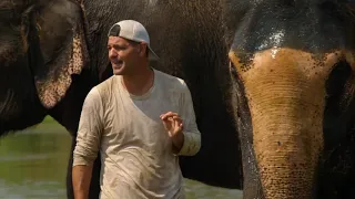 Frank mergulha ao lado de elefantes no Nepal | Perdido na Ásia | Animal Planet Brasil