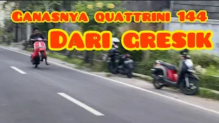 QUATTRINI 144 DAILY USE FROM GRESIK ‼️