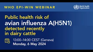 WHO EPI-WIN Webinar: Public health risk of avian influenza A(H5N1) detected recently in dairy cattle