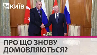 "Обнімашки Ердогана з Путіним - це торгівля турецького президента з Заходом" - Подорожній