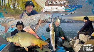 Gábor Döme - 12 Months on the Danube pt 3. from September to December