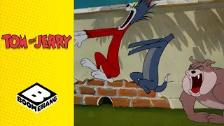 3 Steps To Be A Good Dog | Tom & Jerry | Boomerang UK