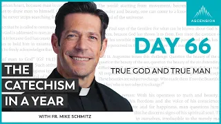 Day 66: True God and True Man — The Catechism in a Year (with Fr. Mike Schmitz)