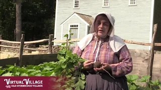 Virtual Village: Tour of the Small House Garden