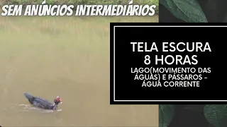 RELAXE!!! 😍 SOM RELAXANTE DE LAGO(MOVIMENTO DAS ÁGUAS) E PÁSSAROS - ÁGUA CORRENTE - TELA ESCURA