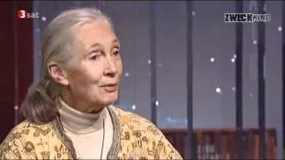 Überbevölkerung - Weltrettung = Menschenreduktion  (Jane Goodall)