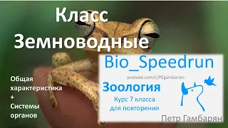 18. Земноводные часть I (Speedrun зоология 7 класс, ЕГЭ, ОГЭ 2021)