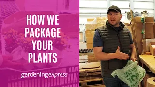 Packaging Your Plants for Safe Shipping - Gardening Express