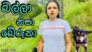 කැලේ මැද අතරමං | Lanka Ella Falls | Adventure | 20 days trip | Day 11 @WolfyVlogs