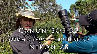 Canon R3 and Nikon Z8 go head to ankle - what is your preference?