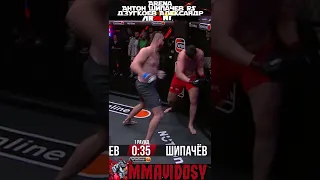 Arena - Антон  Харон Шипачев VS Дзугкоев Александр #shorts #mma #arena