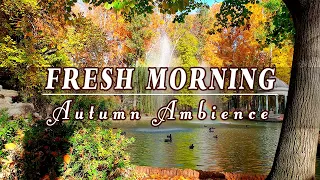 🍂🌞Begin Your Day with the POSITIVE ENERGY of Healing Nature Sounds🍂Fresh Morning Autumn Ambience