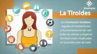 Tiroides: Síntomas, tratamientos y más | Clínica Alemana