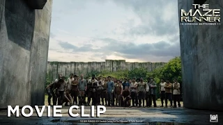 The Maze Runner [Movie Clip "GOOD JOB" in HD (1080p)]